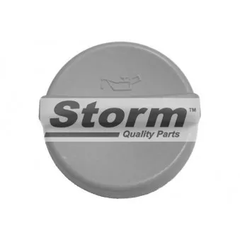 Bouchon, goulotte de remplissage d'huile Storm OEM 5650831