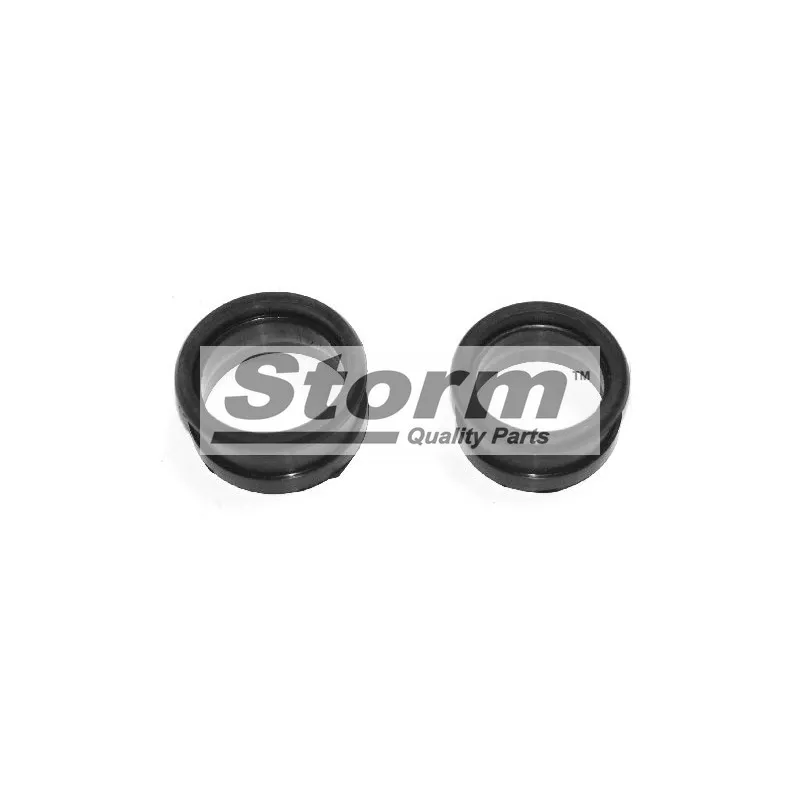 Gaine de suralimentation Storm F4987 - Visuel 1