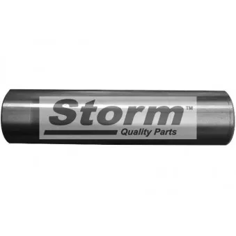 Kit de réparation, corps de l'essieu Storm OEM 514898R