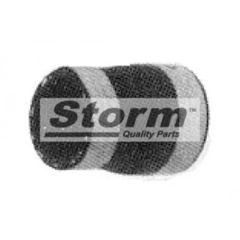 Storm F7578 - Durite de radiateur