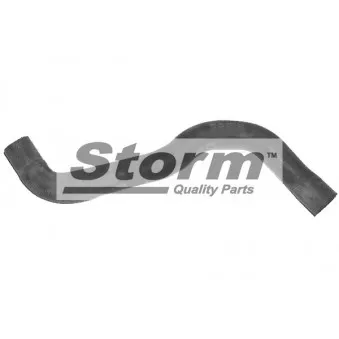 Durite de radiateur Storm OEM 7700787606