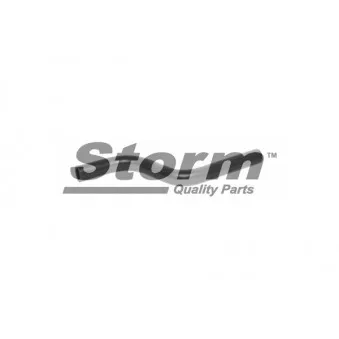 Durite de radiateur Storm OEM 7700773180