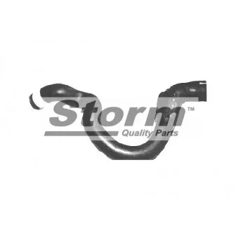 Durite de radiateur Storm OEM 7700816995
