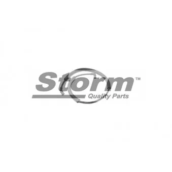 Storm F8149 - Durite de radiateur