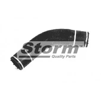 Durite de radiateur Storm OEM 1307w3