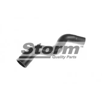 Durite de radiateur Storm OEM 1343J3