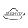 Storm F8373 - Durite de radiateur