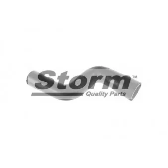 Storm F8403 - Durite de radiateur