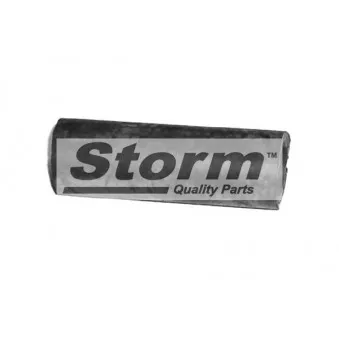 Durite de radiateur Storm OEM 1307AX