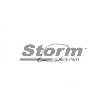 Durite de radiateur Storm OEM 1351ZG