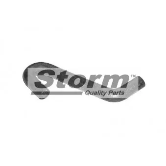 Durite de radiateur Storm OEM 7700430490