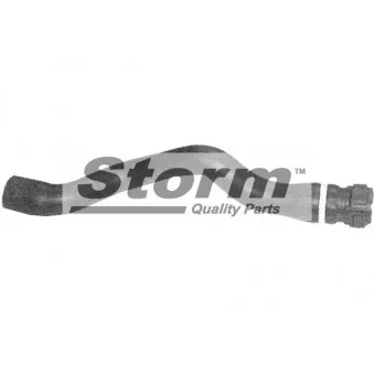 Durite de radiateur Storm OEM 7700428862