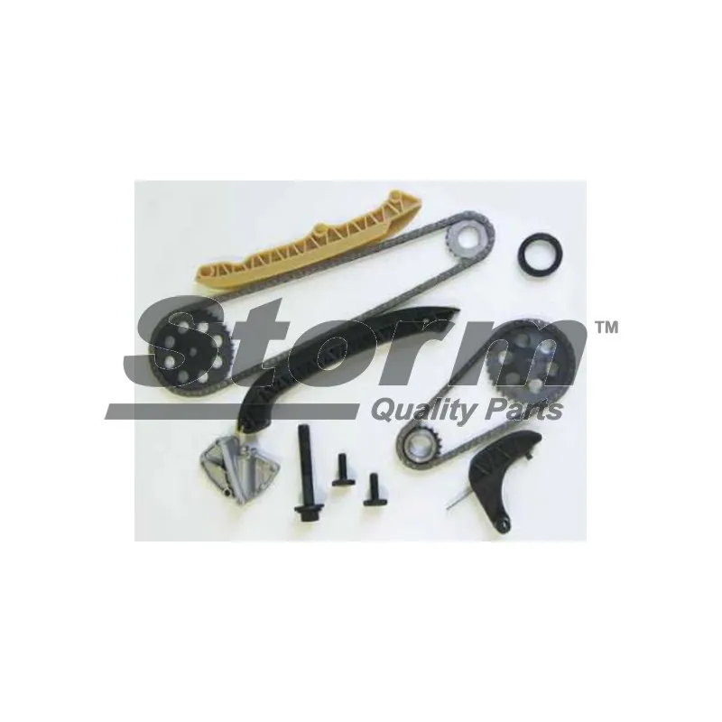Kit de distribution par chaîne Storm KITC555009 - Visuel 1