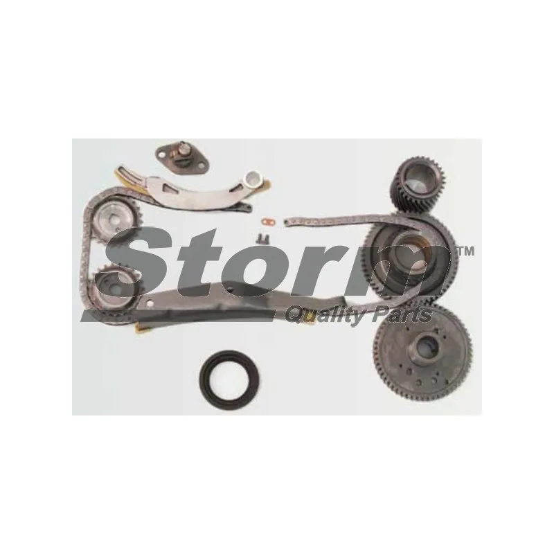 Kit de distribution par chaîne Storm KITC555013 - Visuel 1