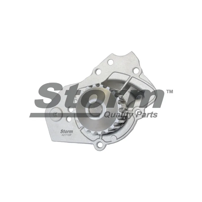 Pompe à eau Storm NST206 - Visuel 1