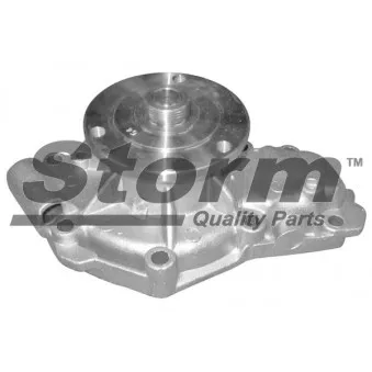 Pompe à eau Storm OEM 7701465643