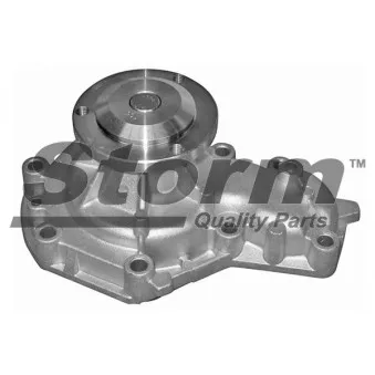 Pompe à eau Storm OEM 7701466779
