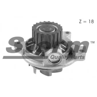 Pompe à eau Storm OEM 074121005N