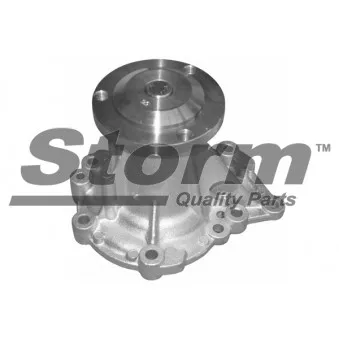 Storm PA11157 - Pompe à eau