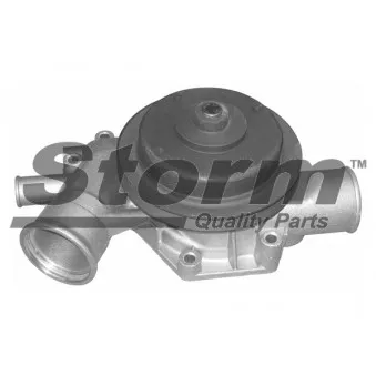 Pompe à eau Storm [PA12047]