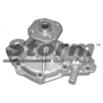 Pompe à eau Storm OEM 7701461336A