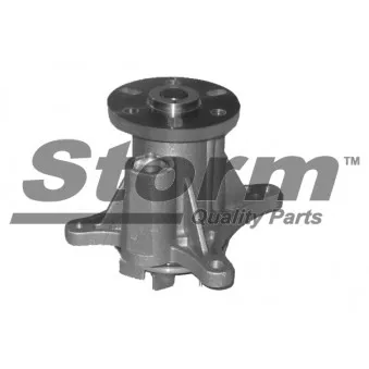 Pompe à eau Storm OEM 1201G6