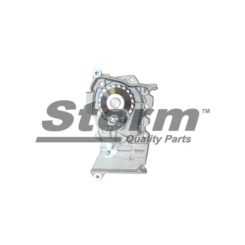 Pompe à eau Storm RST216 - Visuel 1