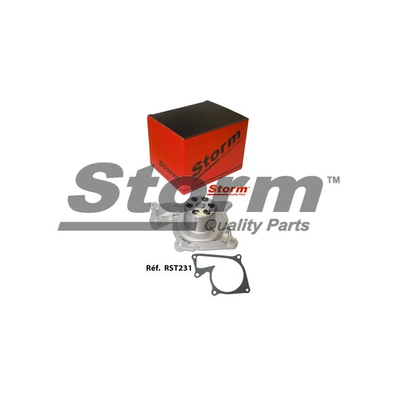 Pompe à eau Storm RST231 - Visuel 1