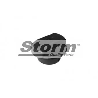 Bouchon, réservoir de liquide de refroidissement Storm OEM 7M3121321