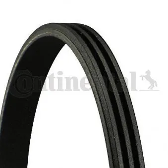 Courroie trapézoïdale à nervures CONTITECH 3PK725 ELAST