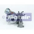 MOTAIR TURBO 101983 - Turbocompresseur, suralimentation