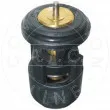 Thermostat, liquide de refroidissement AIC [50904]