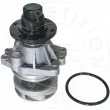 AIC 51079 - Pompe à eau