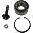 AIC 51725 - Kit de roulements de roue 