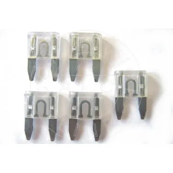 AIC 52149 - Fusible