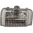 AIC 53534 - Feu clignotant