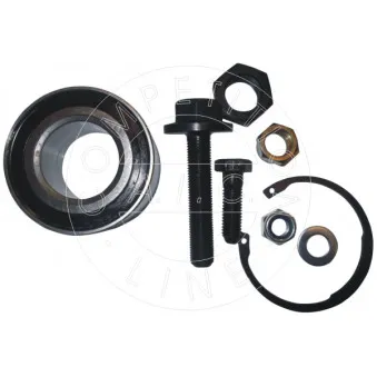 Kit de roulements de roue AIC 53567