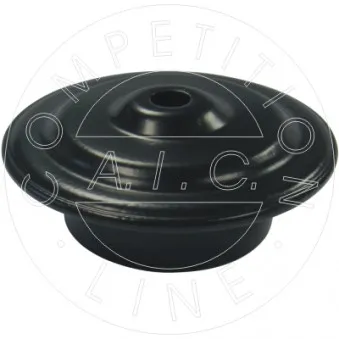 AIC 53918 - Patin de ressort 