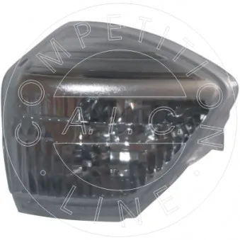 Feu clignotant AIC 55459
