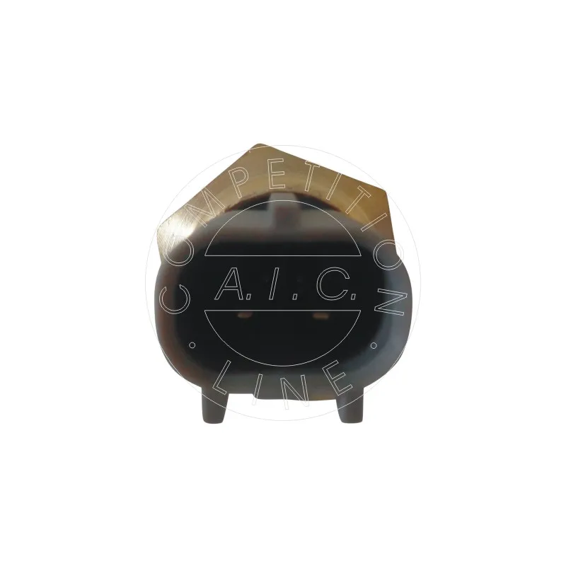 Capteur, température de l'air d'admission AIC 55472 - Visuel 1