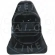 AIC 55775 - Feu éclaireur de plaque