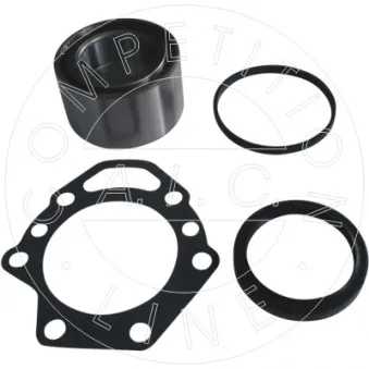 Kit de roulements de roue AIC OEM 0119818905