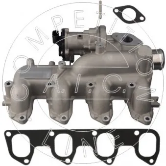Vanne EGR AIC OEM 1113080
