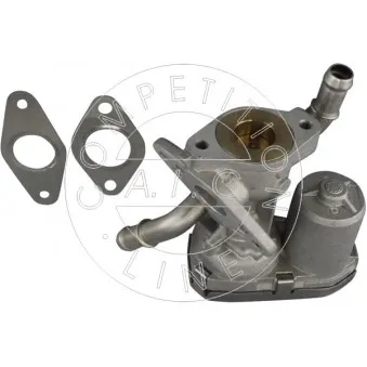 Vanne EGR AIC OEM 1480549