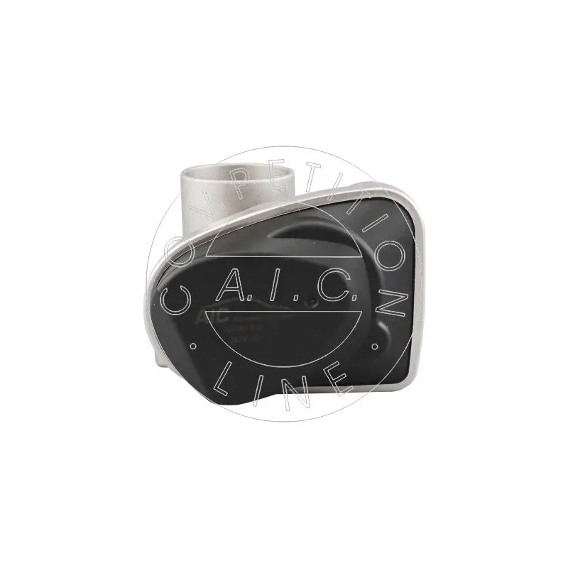 Corps papillon AIC 57864 - Visuel 2