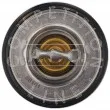 AIC 58101 - Thermostat, liquide de refroidissement