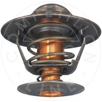 Thermostat, liquide de refroidissement AIC 58322