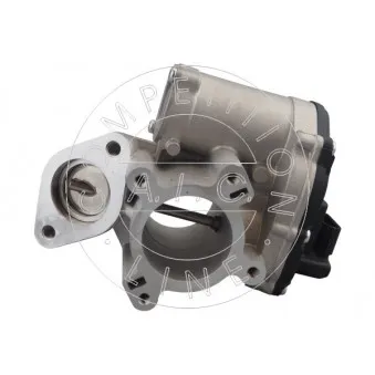 Vanne EGR AIC OEM 147106341R