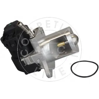 Vanne EGR AIC OEM A6421401060