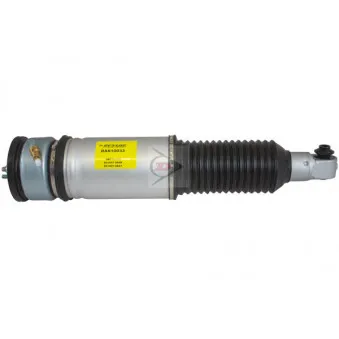 Armortisseur pneumatique arrière droit AIC 71104